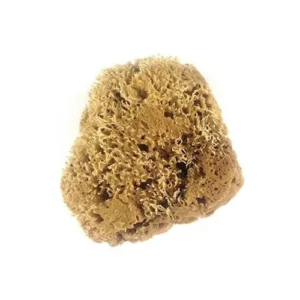 Esponja Natural Atlas (marinha) 5 - Imagem 2