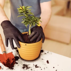 Conjunto 2 para Jardinagem 3 Peças Laranja - Imagem 9