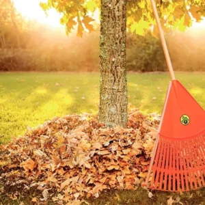 Vassoura de 26 Dentes com Cabo de Madeira 120cm - Imagem 4