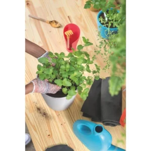 Regador para Jardim em Plástico Azul 2 L - Tramontina - Imagem 3