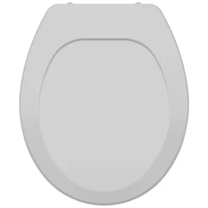 Assento Sanitário Convencional Premium Ap162 Cinza Claro