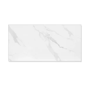 Porcelanato Acetinado Retificado Mont Blanc 60x120cm Branco