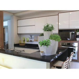 Jardim de Temperos Vida Japi Vida Cimento - Imagem 3