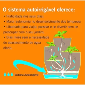 Jardim de Temperos Vida Japi Vida Cimento - Imagem 4