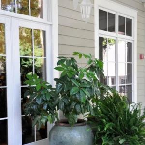 Arandela Tlf 27 60w Branca - Taschibra - Imagem 3