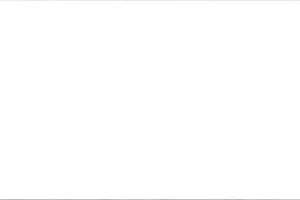 Revestimento Interno Linear White Mate 10 X 30cm - Eliane