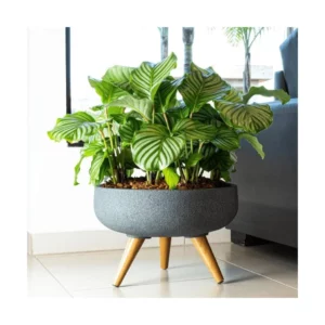 Bacia Redonda Decore 45 Marmore - Imagem 2