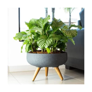 Bacia Redonda Decore 45 Grafite - Imagem 2