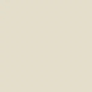 Porcelanato 63 X 63 Paglia Polido Rt Delta Cx:2,75 (ultima Remess