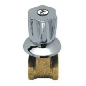 Registro Gaveta 3/4 C/ Acabamento C 50 Leao