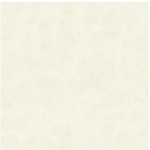 Piso 61 X 61 Niobium Plus Retificado a Cecafi Cx: 2,23 M²