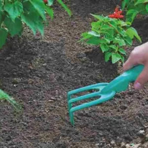 Jardim - Ancinho Plastico 3 Dentes Tramontina - Imagem 1