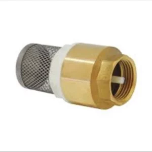 Valvula Retencao Vertical 3/4 P/ Poço C/tela - Imagem 1