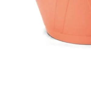 Cuia Nobre 01,5 C/ Prato Ceramica - Imagem 4