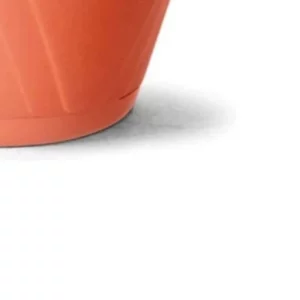 Cuia Nobre 01,5 C/ Prato Ceramica - Imagem 5