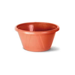 Cuia Nobre 03 C/ Prato Ceramica