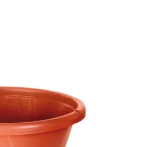Cuia Nobre 03 C/ Prato Ceramica - Imagem 3