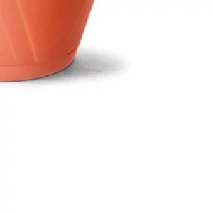 Cuia Nobre 03 C/ Prato Ceramica - Imagem 5