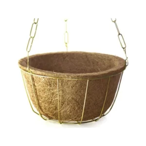 Kit Cuia Nutricoco Grande Unica - Imagem 6