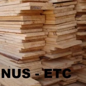 Mad Pinus (m3) - Etc